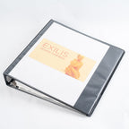 BTL Exilis - Treatment Setting Guide Clinician Informational setting handbook
