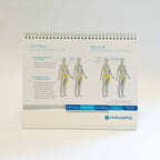 Zeltiq CoolSculpting Patient Prop Up Consultation Guide Display Information