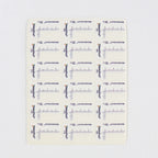 MelaFind Optics by Carl Zeiss MelaSpectral Sticker M145-LT-001 216X Stickers