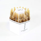 Viora DermaFuse Intensive Hydration Serum 2oz. Ampoules 189EV x30