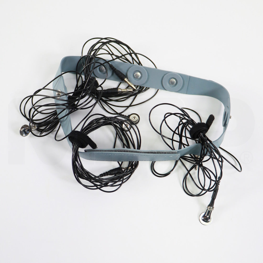 Electro Equiscope Electric Current Therapy System