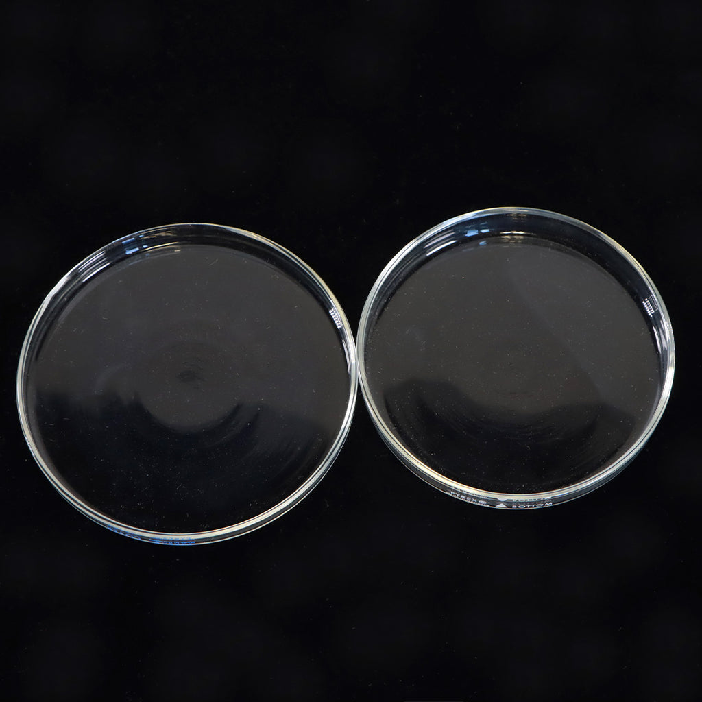 Pyrex Petri Dish Borsilicate Glass 100 x 10 mm 3160-100 12pk
