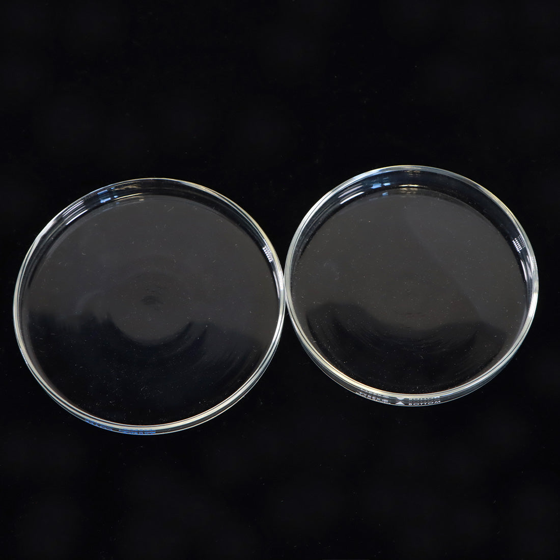 Pyrex Petri Dish Borsilicate Glass 100 x 10 mm 3160-100 12pk