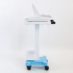 2021 Agnes RF ESG Precision Insulated Radio Frequency Acne Microneedling System