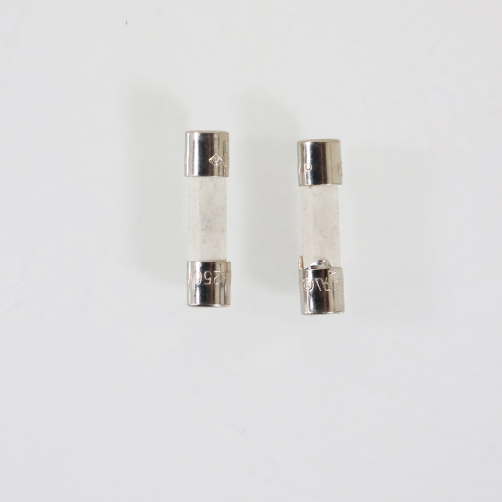 MDA-20 Time Delay Ceramic Fuse 250V 2pk