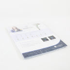 2020 Lumenis Stellar M22 Information Marketing Flyer PB-00002480 Rev A 25x