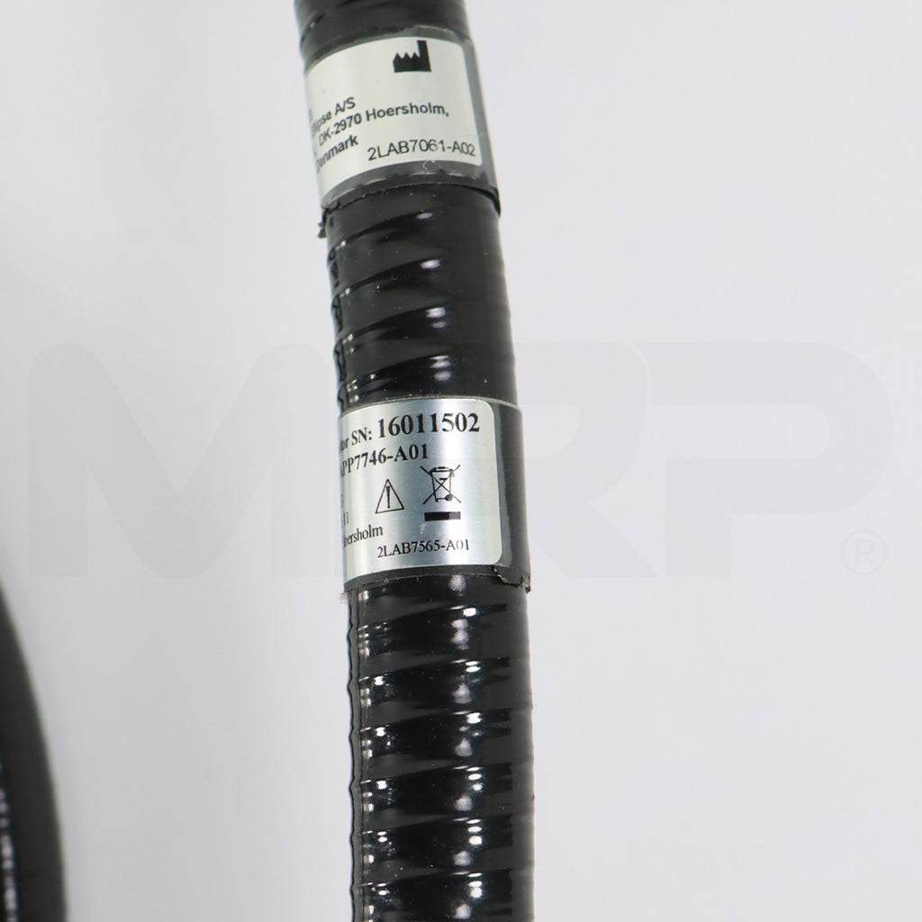 Candela Nordlys Ellipse IPL HRD 645 Handpiece Applicator