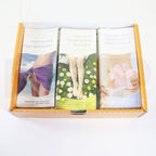 Cynosure Palomar Icon Marketing Kit Tri-Fold Brochures