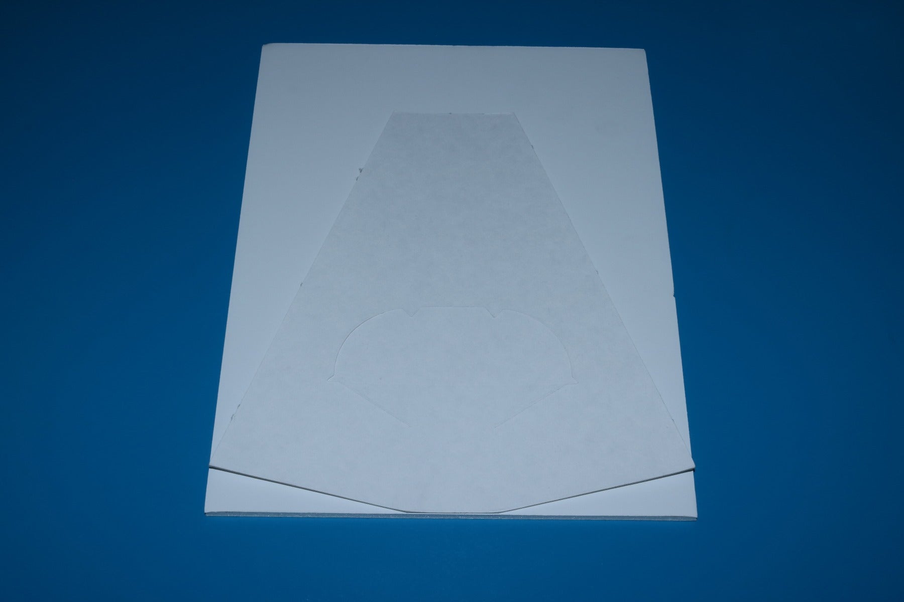 Cynosure Ellman Pelleve RF Wrinkle Reduction Lobby Marketing Display Sign 8x11"