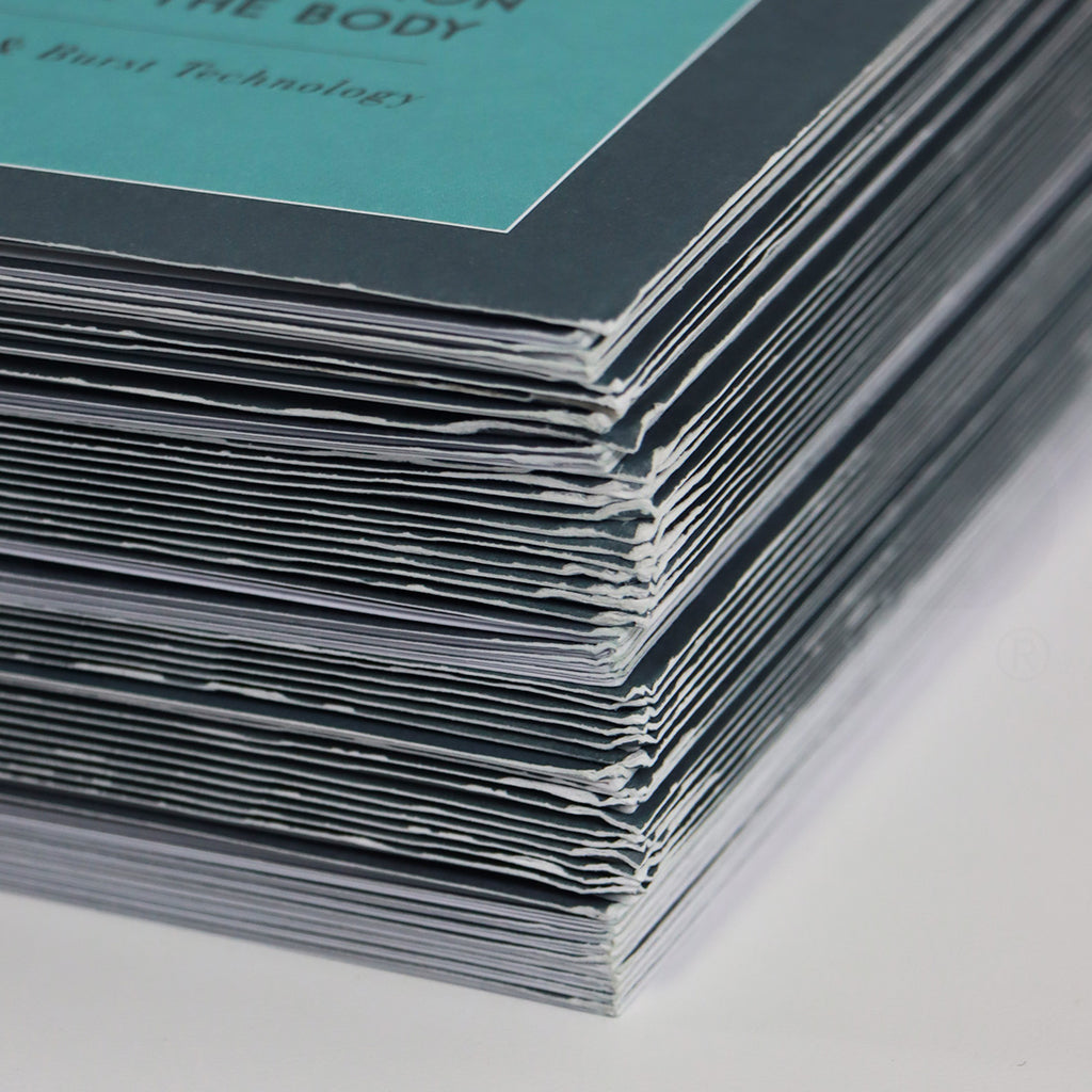 InMode Morpheus 8 Sales Brochure (50x)