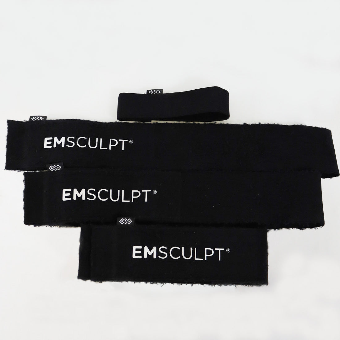 2019 BTL EmSculpt Non Invasive Body Sculpting System With Large and Small Paddles