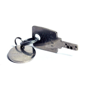 Palomar StarLux 300 500 Laser System On Off Switch KEY Dimple Star Lux PARTS