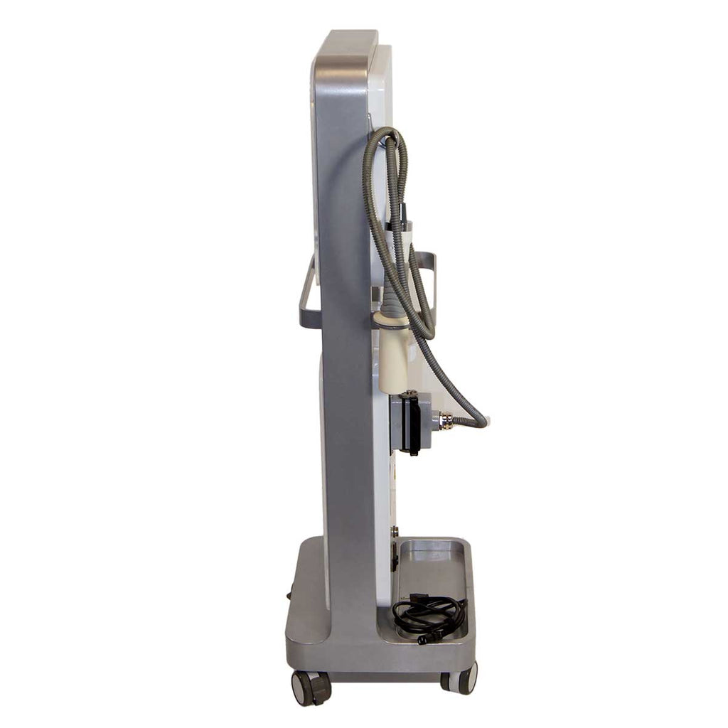 Vivace Fractional Micro Needle RF Facial Skin Tightening System Sung Hwan E&B