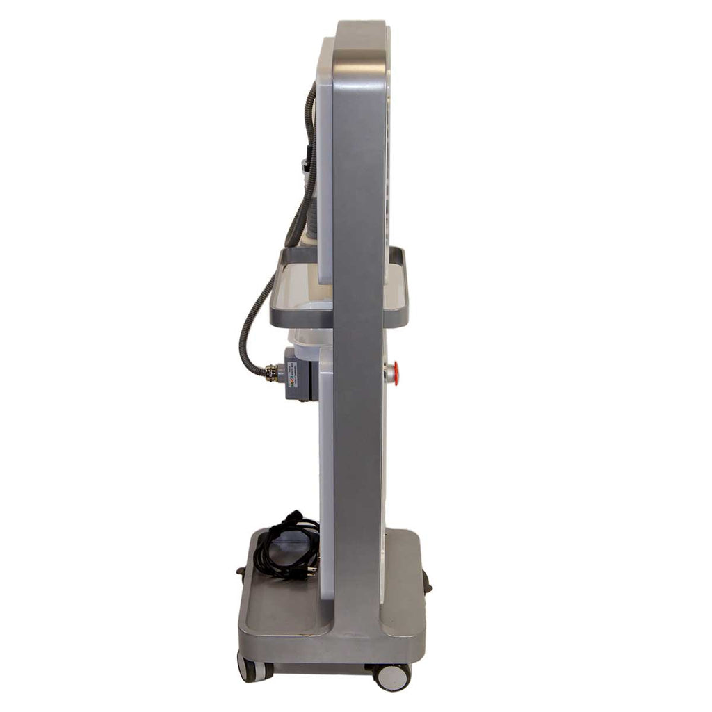 Vivace Fractional Micro Needle RF Facial Skin Tightening System Sung Hwan E&B
