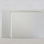 Palomar ICON Water Cooling Module Door Assembly Tank Parts As-Is 2520-0004R