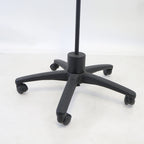Waldmann Lighting Omnimax Rolling Magnifier Light Articulating Lamp SNL-319 3x9W