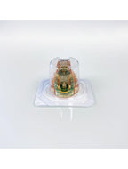 Ilooda SecretRF MTR-AC-25 Semi-Insulated Microneedle Tip (9-Pack)