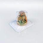 Cutera SecretRF 25-Pin Semi-Insulated MicroNeedle Tip MTR-AC-C-25 EXP2025 x6 Pcs