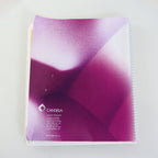 Candela GentleMax Gentle Max Yag Pro Laser In-Service User Manual 8501-00-2222