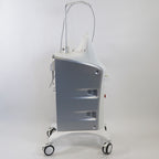 2022 Cartessa VirtueRF Microneedle System SHEnB Virtue RF Wrinkles Skin Tighten