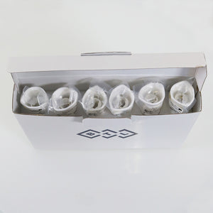 BTL Femme XP 2 Applicator Tips V-Tip 215-10 Non-Sterile 215-LABTip101 - 6 Pack