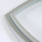 Palomar Starlux Laser Rubber Gasket Screen System Assembly