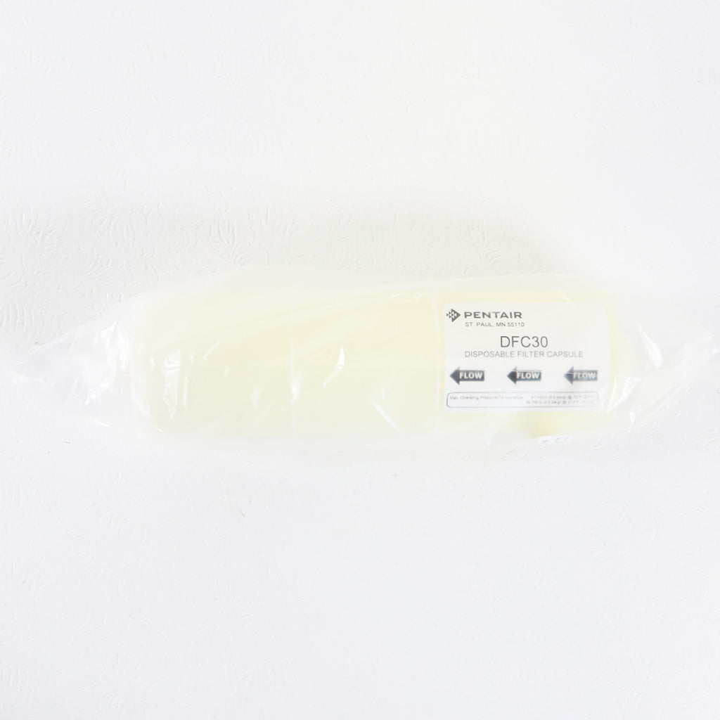 Pentair DFC30 Large Disposable Water Filter Capsule / Cartridge DFC3022Y012Y