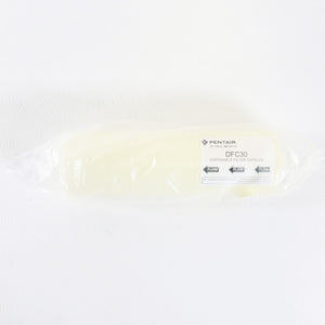 Pentair DFC30 Large Disposable Water Filter Capsule / Cartridge DFC3022Y012Y