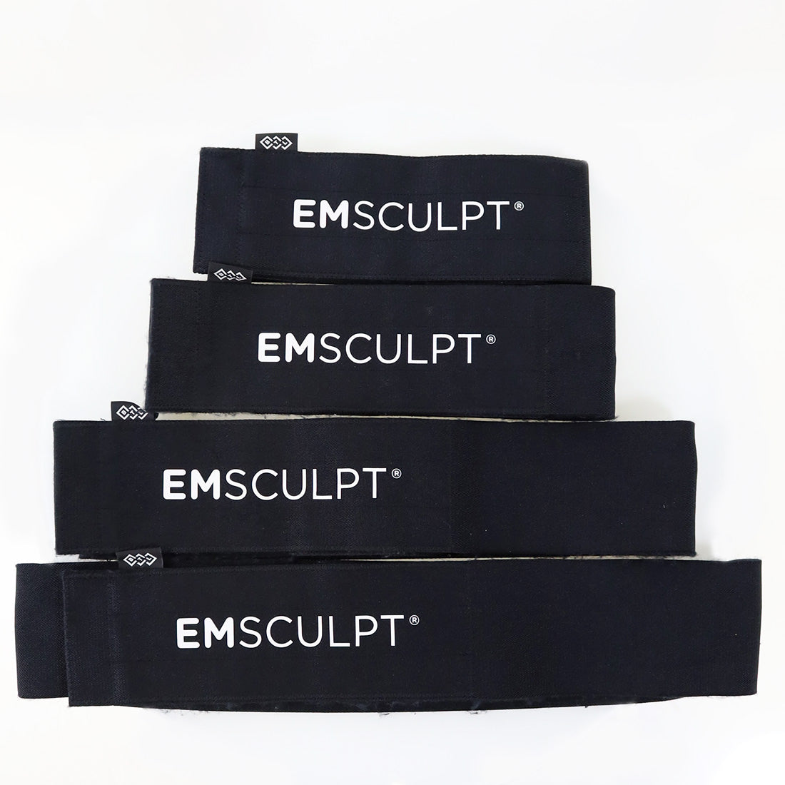 2020 BTL EmSculpt Body Sculpting With Emsella Electromagnetic Incontinence System
