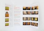 Cynosure SculpSure Permanent Fat Reduction Be Strong. Sexy. Confident Brochure