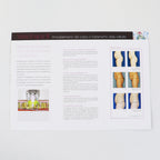 Syneron Candela VelaShape III Before and After Reference Guide Italian
