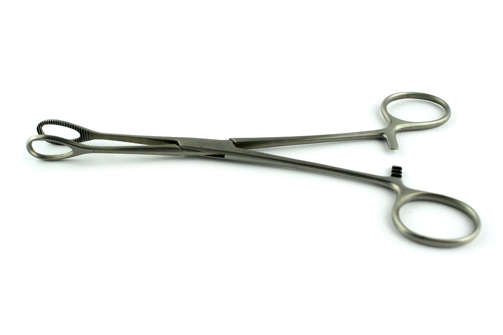 Tiemann Sponge Forceps Straight 7" Stainless Steel Self-Locking Serrated Tip