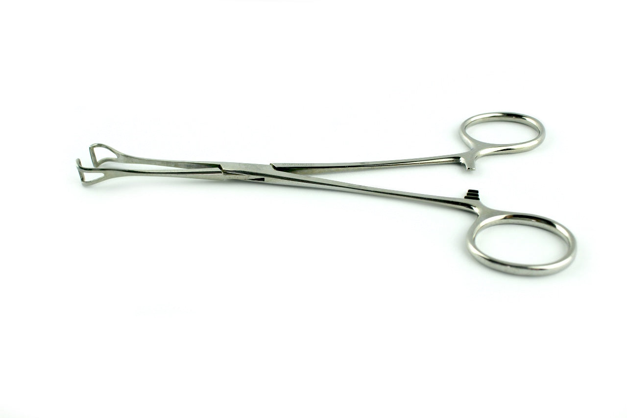 Steel Surgical Instrument Babcock Forceps Hospital Medical Equipment 6" with 8mm