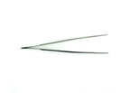 AMICO Precision Micro Forceps 7" Tweezers 7" Forceps Surgical German Stainless