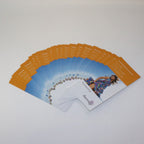 2011 Solta Thermage Skin Tightening Patient Brochures MK2028H 26 Pack