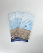Lumenis LightSheer Laser Hair Removal Brochure 40-PACK