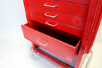 Waterloo Healthcare 6-Drawer Steel X-Tall Emergency Cart, Lever Lock, Red