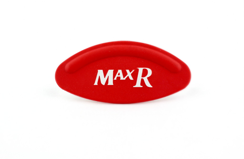 Palomar Max R IPL Emblem Logo Name Adhesive Domed Decal
