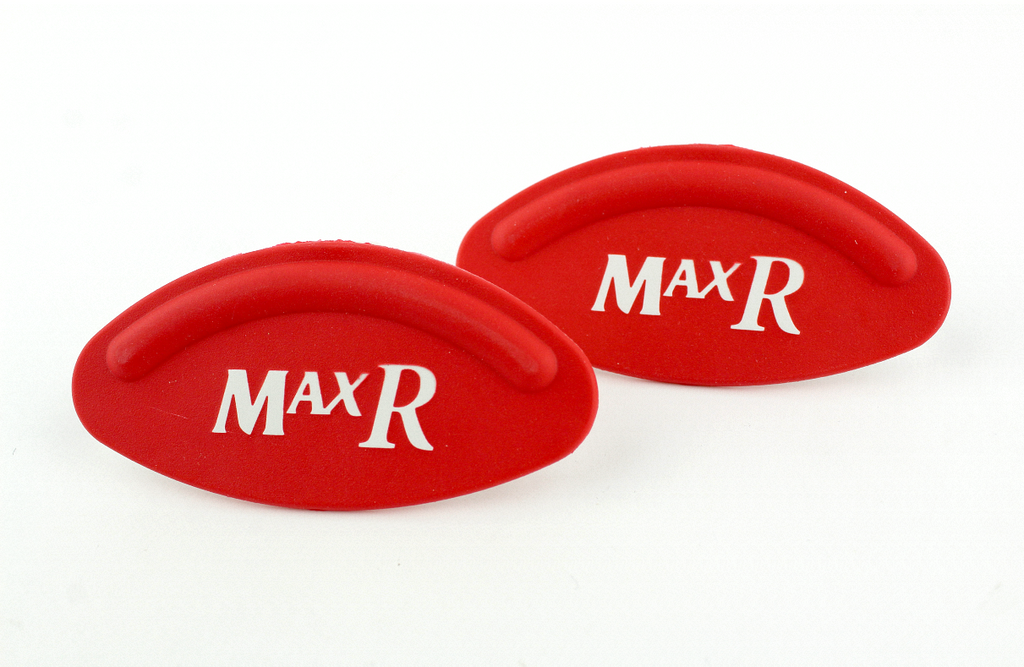 Palomar Max R IPL Emblem Logo Name Adhesive Domed Decal