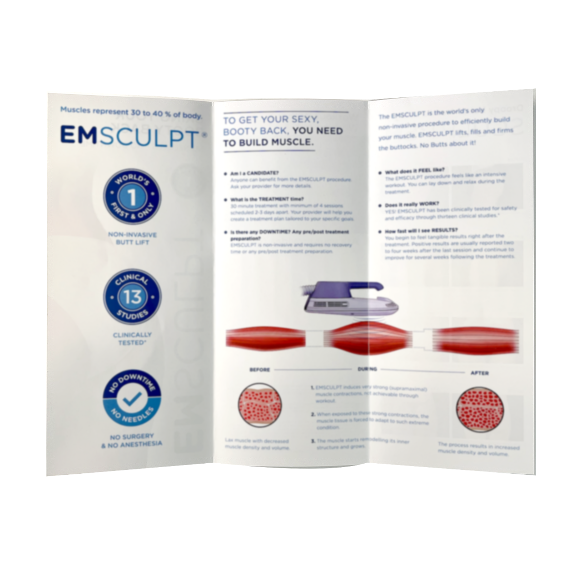 BTL EMSCULPT, “Bring your Booty Back” “No Needles-No Downtime” Brochure (4 pack), P/N: 799-75ENCF8FENUS106, 2019
