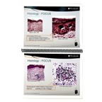 CYNOSURE, PicoSure Changing dermatology Forever, Clinical Training Presentation