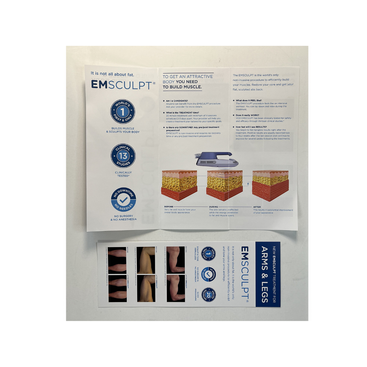 BTL, EMsculpt Build Muscle & Sculpt Your Body "ARMS & LEGS" Brochures (84 pack)