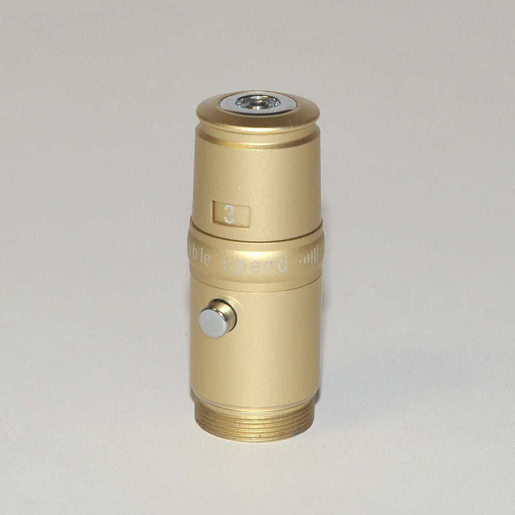Gold Adjustable Power Adapter SKINSTYLUS Microneedle Corded 5-Pin Model Round