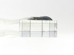 Palomar Max G IPL Handpiece Sapphire Crystal & Water Cooled Chill Tip Aperture