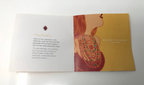 Ulthera Ultherapy Ultrasound Décolletage Wrinkle Treatment Booklet Brochure