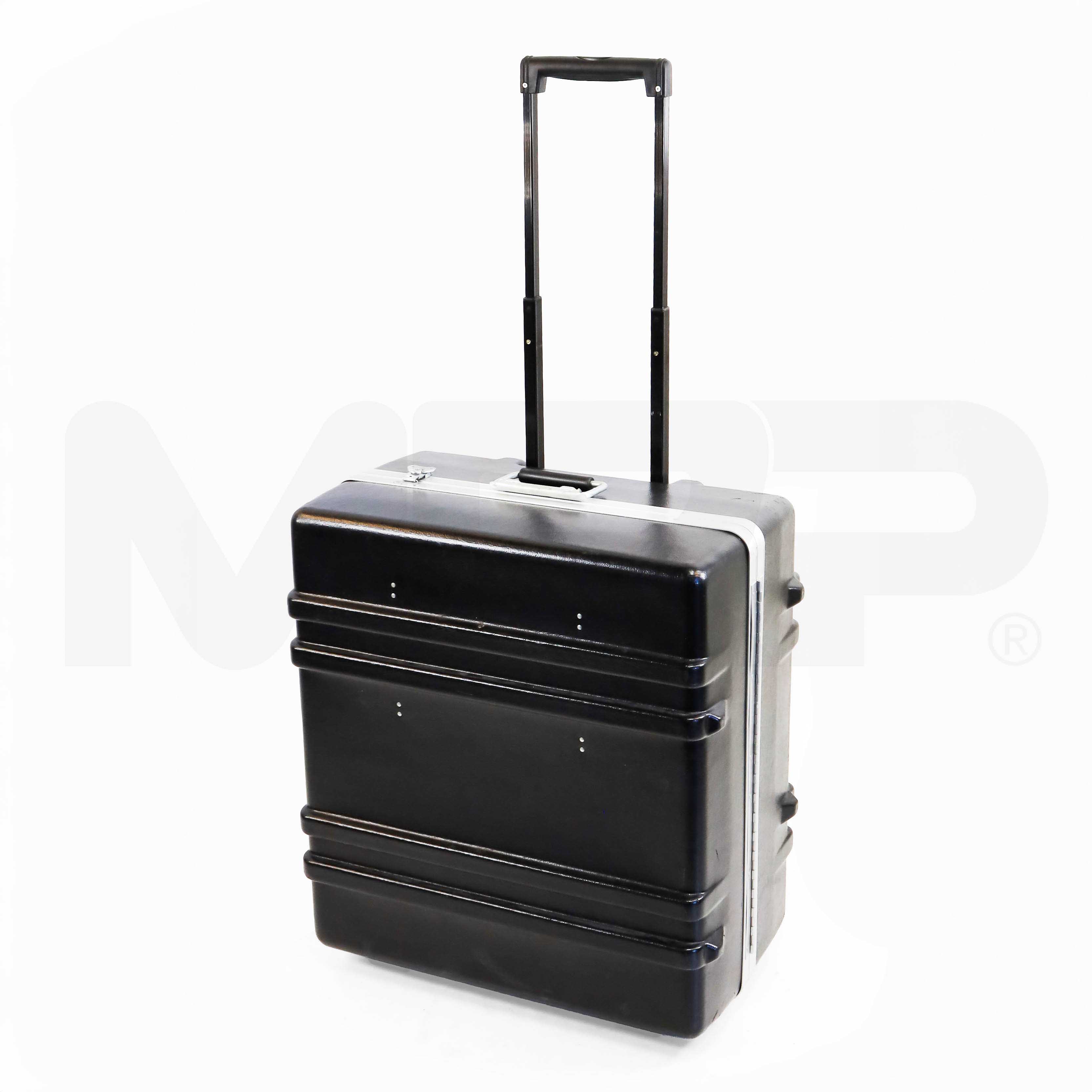 2013 Merz Aesthetics Ultherapy System Case