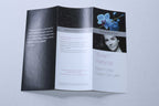 2012 Candela Vbeam Perfecta Pulsed Dye Laser Vein/Pigment Patient Brochures 17pk