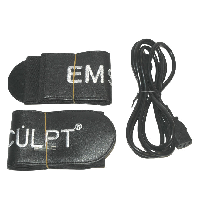 BTL Emsculpt Electromagnetic Non Invasive Muscle Body Sculpting Tone Em Sculpt