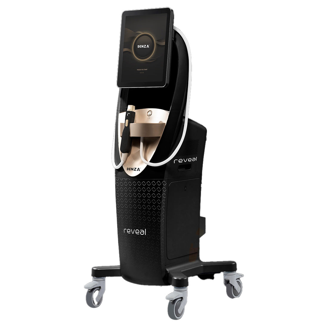 2024 Jeisys Density Reveal Denza Monopolar Bipolar RF Skin Rejuvenation System