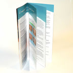 Restylane Dysport Patient Frown Lines Brochure Pamphlet Office Marketing x25 Pcs